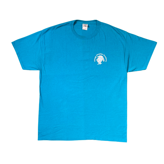 Village Christian Academy Knights Tee / JERZEES Dri-Power Active